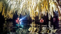 Half Day Cenote Cave and Swimming with Turtles Tour in Akumal