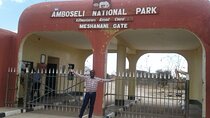 Overnight Safari to Amboseli National Park from Nairobi