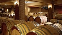 Amazing Wine tasting at Nemea