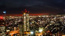 3 Hour Tokyo Roof Bus Tour with a Licensed Guide