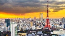 Tokyo Full Day Private Tour with English Guide Driver