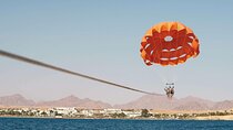Parasailing Adventure on Marine Without Transfer– Sharm El Sheikh