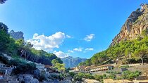 Full Day Tour to the Island of Mallorca