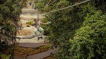 Appleton Estate Admission & Rum Tastings with YS Falls Ziplining