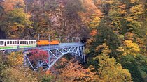 Full Day Tour to Kurobe Gorge and Unazuki Onsen from Kanazawa