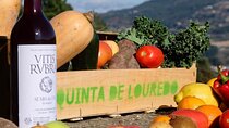 Traditional Cooking Class, Farm Tour & Lunch in the Douro Valley