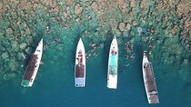 Snorkeling and Island Hopping Tour in Karimunjawa (sharing tour)