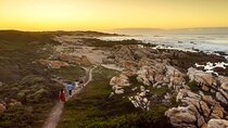 Full-Day Port Elizabeth & Kragga Kamma Reserve 