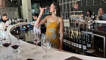 Half Day Private Wine Tasting Tour in Constantia
