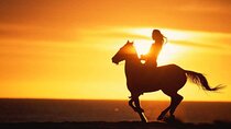  Agadir/Taghazout Horse Ride on the beach