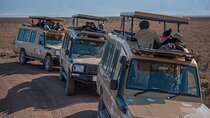  Private 6 Days Mid Range Tanzania Lodge Safari Experience