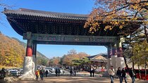 Seoraksan mt, Sokcho City, East DMZ Guided Tour