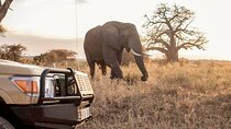 9 Day Tanzania Budget Camping Safari