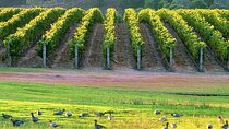 Margaret River Coastal Tour