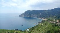 Accessible Cinque Terre and Pisa Private Excursion from Livorno