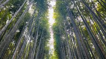 Traversing Kyoto's Scenic West - Arashiyama to Kinkakuji