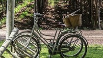 Bike Ride at Bodega Santa Julia with Lunch, Mendoza