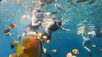 Andre Professional Blue Lagoon Snorkeling Ticket And Transfer