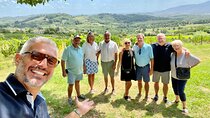 Lucca and Tuscany Wineries Tour