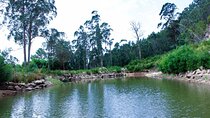 Walking to The Holly Waters