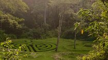 Hike in pristine Forest, a view from above Atitlan