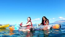 Clear Bottom Kayak and Snorkel Tour at Turtle Town, Makena 