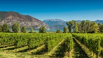 From Milan Full Day in Franciacorta 2 Wineries and Lunch