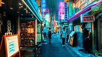 Tokyo Shibuya and Harajuku Walking Tour With A Guide