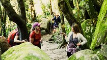 Hike in Sintra: Pena Palace, Moorish Castle, Quinta da Regaleira
