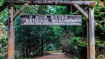  Private Walking Tour in Muir Woods and Tickets 
