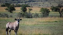 Private Day Trip to Arusha National Park