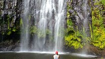 Materuni Village and Waterfalls Full Day Tour with Pickup