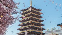 [Cherry blossom]Gyeongju Tour from SEOUL transfer to BUSAN
