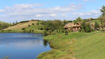 Private Hobbiton Tour from Auckland
