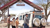 Unforgettable 6 Days Tanzania Private Big-5 Mid-range Safari 