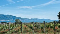Pompeii and Vesuvius Private Tour with Wine tasting