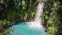 Rio Celeste Waterfall & Sloth Encounter Tour 