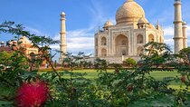 Taj Mahal Private Tour