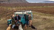 Private Tour in Lake and Gastronomic Delight with Xinomavro Wine