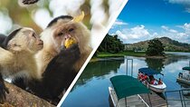 A Day With Nature: Boat Trip on Gatun Lake and The Aerial Tram