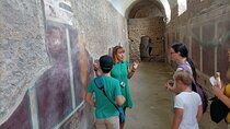 Skip-the-line Private Tour Pompeii Highlights with Native Guide