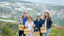 Private Luxury wine tour in Ancient Nemea and vineyards.