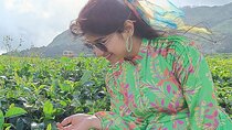 Munnar 2 Nights Solo Tour Package 