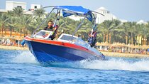 Private Speedboat Excursion Dolphin House Discovery - Hurghada