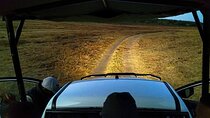 Private Moonlight and Stargazing in National Park near Vic Falls
