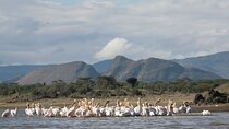 2 Days Prehistoric Tour in Elemantaita, Soysambu and Kariandusi