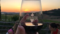 Private Tour Pisa, countryside with wine tasting