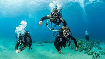 Ras Mohamed & White Island Diving & Snorkeling – Sharm El Sheikh