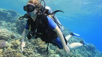 3 Days to Dive PADI Open Water Course Your Underwater Adventure