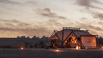 Private Dinner under the Stars & entertainment and Dromedary in Agafay